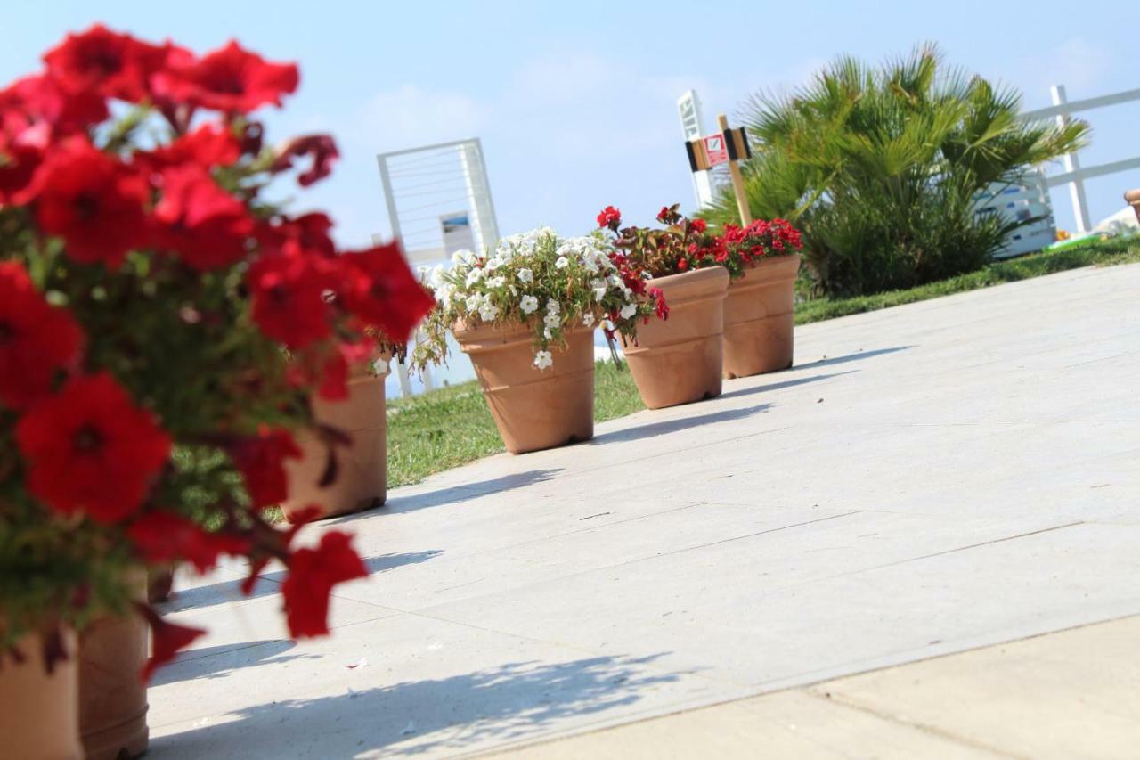 Bv Kalafiorita Resort Zambrone Zewnętrze zdjęcie