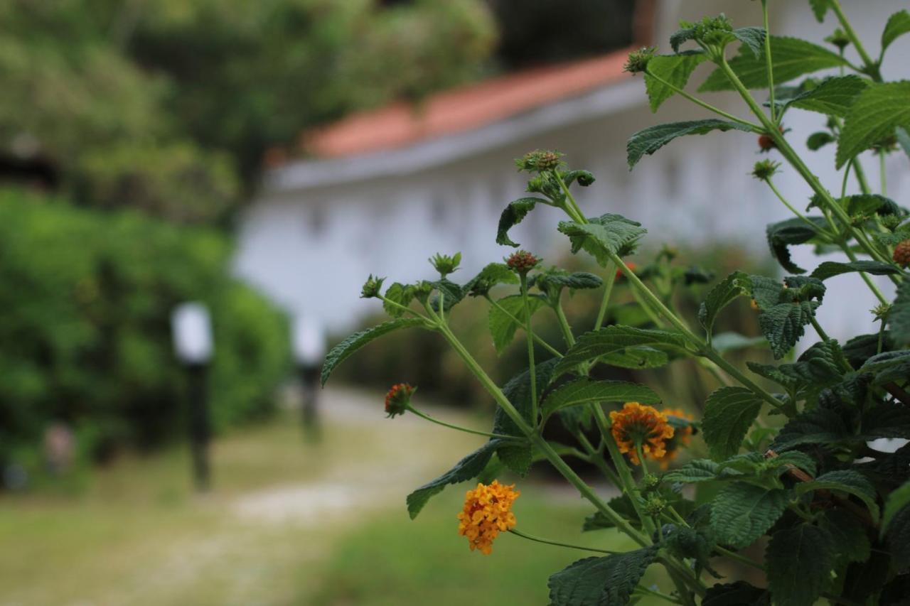 Bv Kalafiorita Resort Zambrone Zewnętrze zdjęcie
