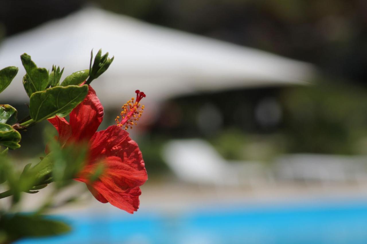 Bv Kalafiorita Resort Zambrone Zewnętrze zdjęcie