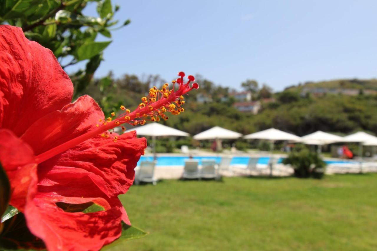 Bv Kalafiorita Resort Zambrone Zewnętrze zdjęcie